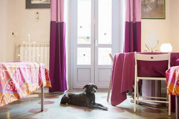 Casa Dani&Swing Bed&Books Bed and Breakfast Turin Exteriör bild
